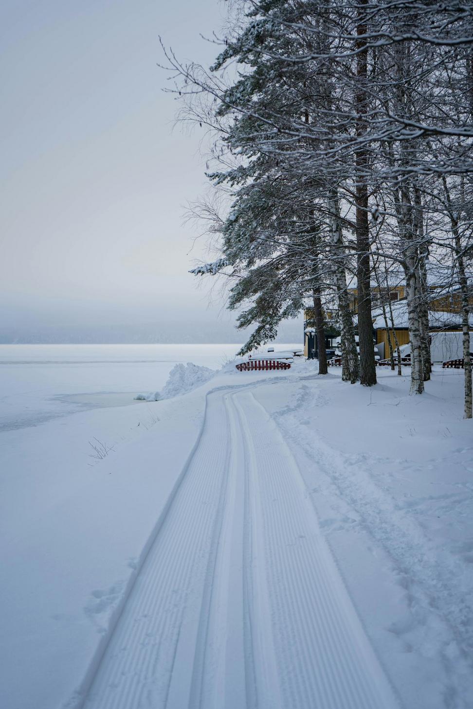 Lakefront Cabin